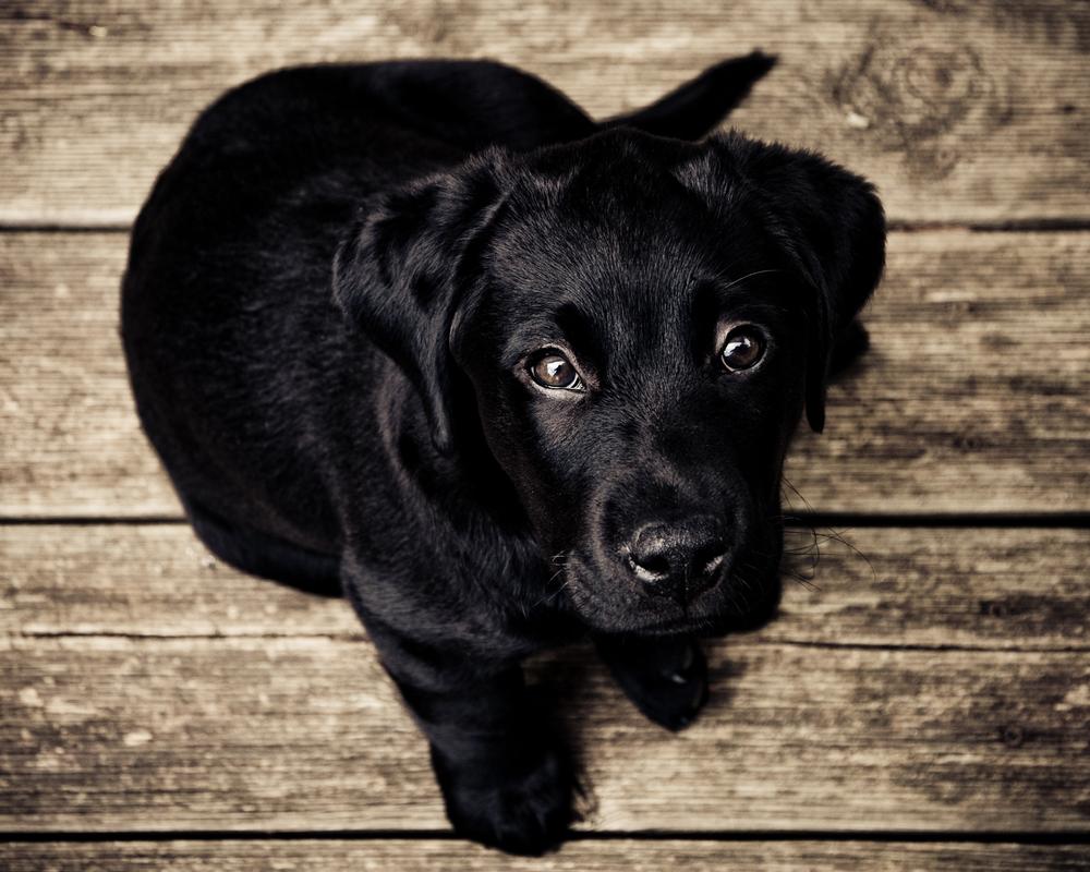 azeazez aeazez - test 2